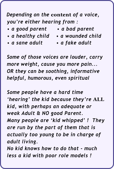 

   Depending on the content of a voice,  
   you’re either hearing from :    • a good parent      • a bad parent
   • a healthy child    • a wounded child
   • a sane adult        • a fake adult
                                
   Some of those voices are louder, carry  
   more weight, cause you more pain... 
   OR they can be soothing, informative 
   helpful, humorous, even spiritual  

   Some people have a hard time 
   ‘hearing’ the kid because they’re ALL   
   kid, with perhaps an adequate or 
   weak Adult & NO good Parent.
   Many people are ‘kid whipped’ !  They 
   are run by the part of them that is  
   actually too young to be in charge of 
   adult living.  
   No kid knows how to do that - much       less a kid with poor role models !
