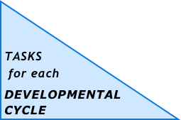 


TASKS 
 for each
DEVELOPMENTAL CYCLE