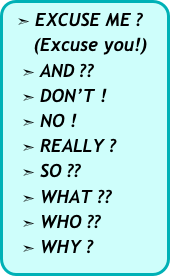  ➣ EXCUSE ME ?    
     (Excuse you!)
   ➣ AND ??
   ➣ DON’T !
   ➣ NO !
   ➣ REALLY ?    ➣ SO ??
   ➣ WHAT ??
   ➣ WHO ??
   ➣ WHY ?  
